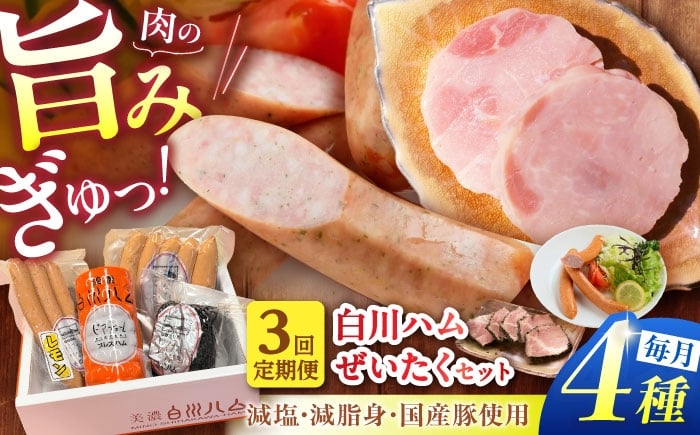 
            【3回定期便】 美濃白川ハム 4種セット （ プレスハム ・ パストラミハム ・ ウインナー ・ レモンウインナー ） ハム プレスハム パストラミ ウインナー 詰め合わせ 白川町 / 白川町農業開発 [AWAH021]
          