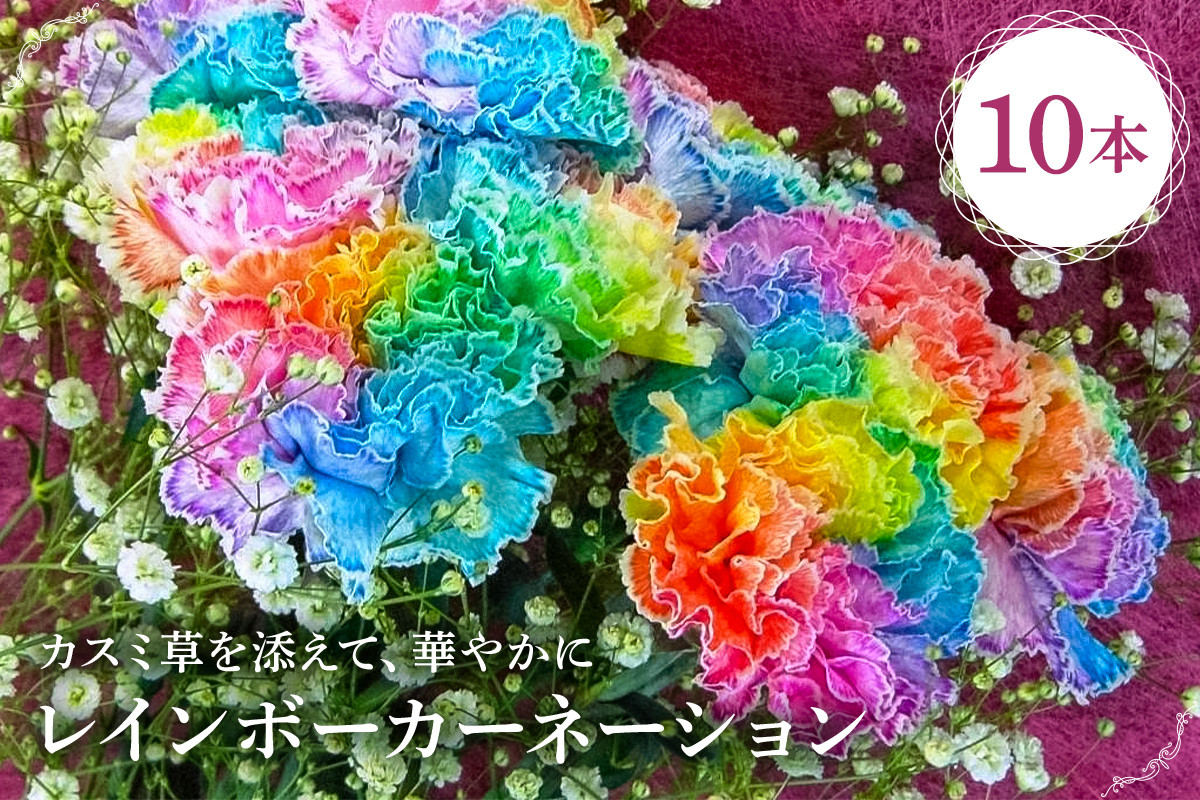 
            レインボーカーネーション 10本セット mi0019-0005 【 カーネーション かすみ草 母の日 プレゼント 観賞 】
          