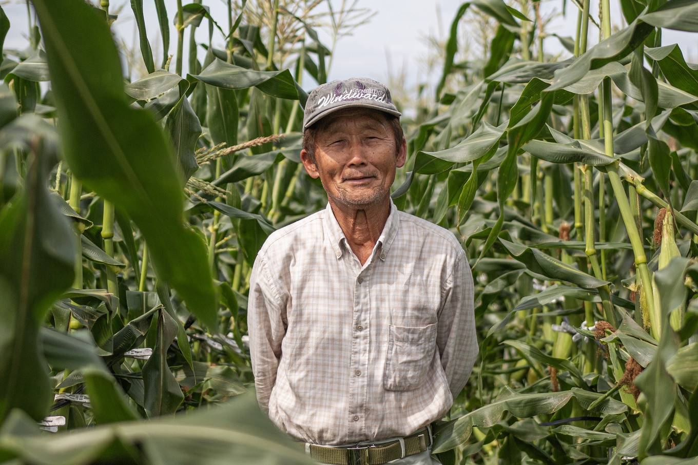 生産者の増田さん