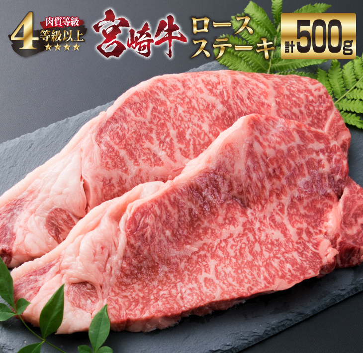 EB2-191_宮崎牛 ロースステーキ 計500g 肉 牛 牛肉 黒毛和牛 ステーキ ロース 国産 おかず 食品 送料無料_イメージ1