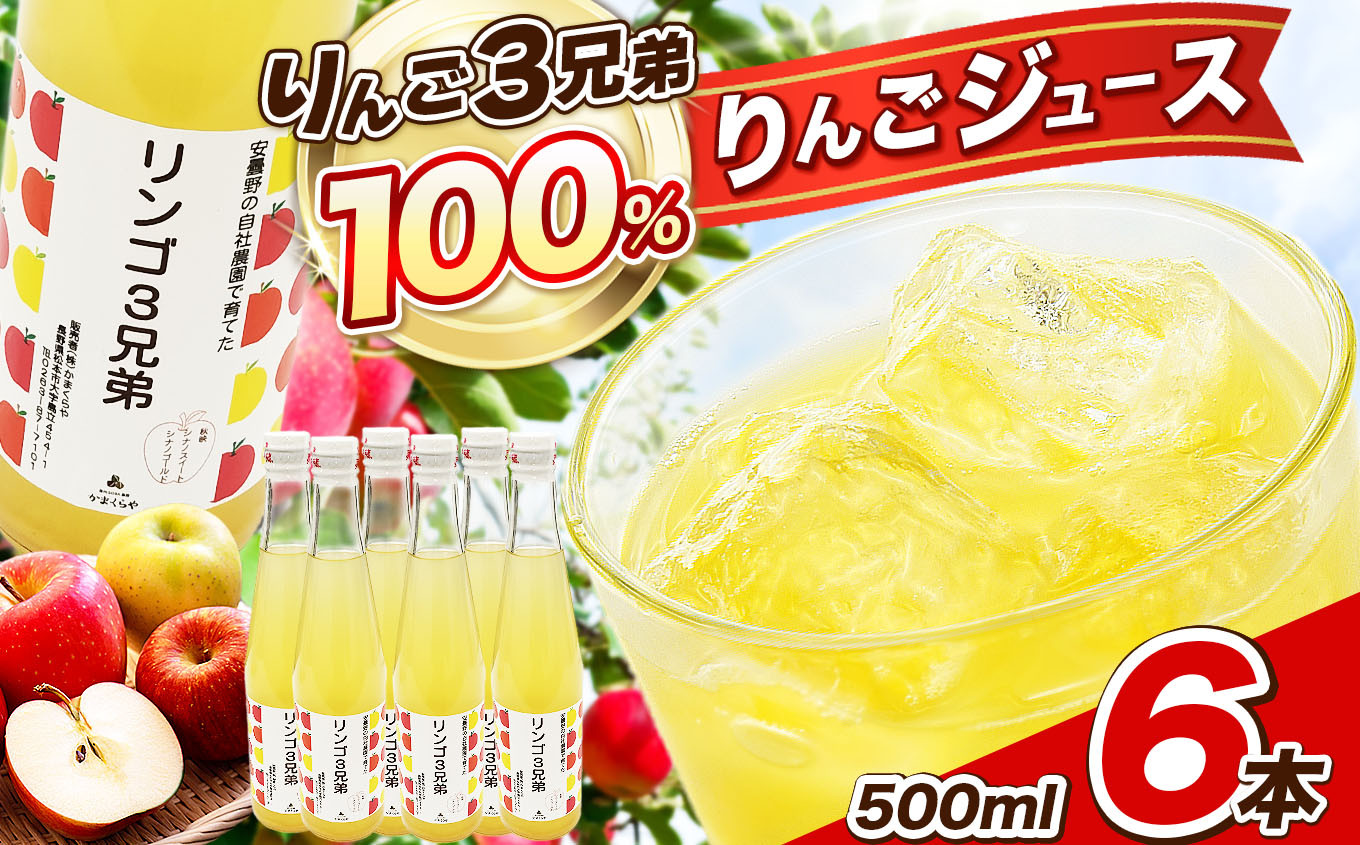 
            【りんご3兄弟】りんごジュース500㎖　6本セット　| りんご ジュース 林檎 フルーツ 果汁  信州 長野 松本 松本市 長野 長野県 ふるさと納税
          