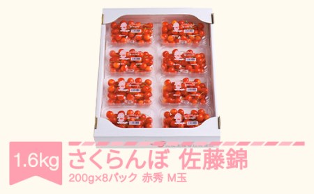 さくらんぼ 佐藤錦 赤秀品 M玉 180g×8パック 2026年産 令和8年産 山形県産 mm-snpmx1600 ※沖縄・離島への配送不可