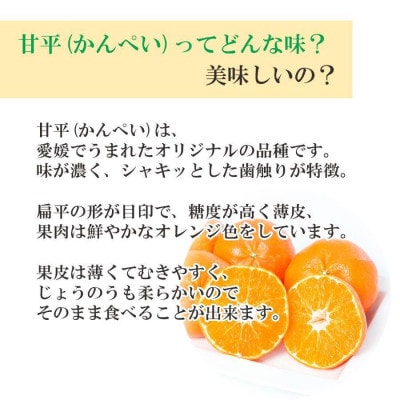 【2026年2月より順次発送】愛媛限定栽培柑橘 甘平(かんぺい)2kg【訳あり】【D25−184】【1608049】