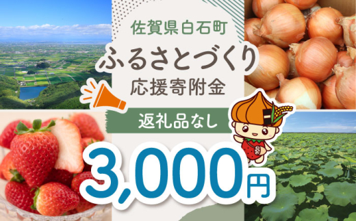 【返礼品なし】佐賀県白石町 ふるさとづくり応援寄附金（3,000円分）  白石 [IZY004]