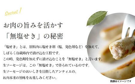 【ふるさと納税】無塩せき ウインナー あんてぃえ 柚子胡椒 100g x 10p 計1.0kg ［食品 無塩せきウインナー ソーセージ ゆず こしょう 国内製造 北海道 旭川 無塩せきソーセージ 発色