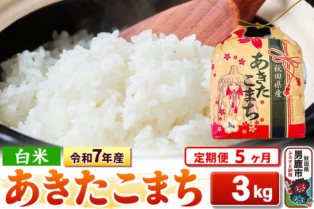 《定期便5ヶ月》令和7年産【白米】秋田県産 あきたこまち 3kg 秋田県 男鹿市 こまちライン