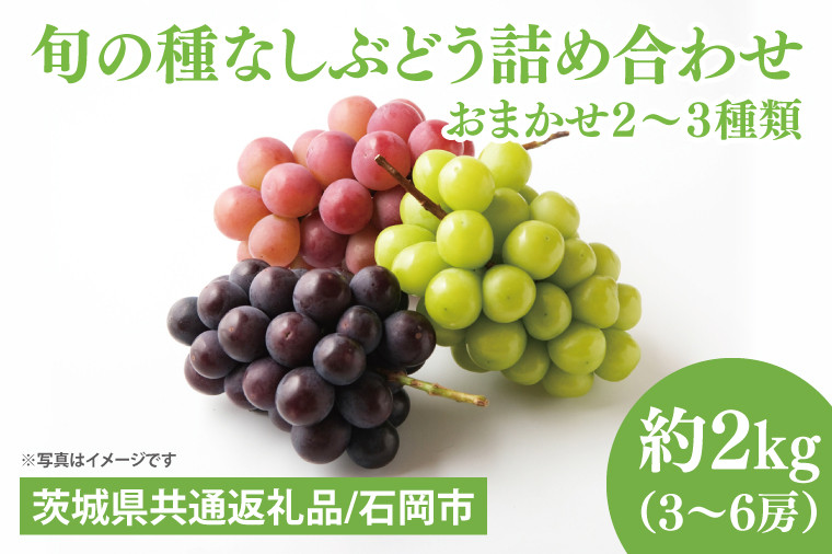 
            【先行予約】【2025年９月上旬～10月中旬発送】旬の種なしぶどう詰め合わせ　２kg（３～６房）【茨城県共通返礼品/石岡市】【ブドウ 巨峰 ビオーネ 伊豆錦 ゴルビー セット 安芸クイーン フルーツ 果物 くだもの 水戸市 水戸】（MF-2）
          