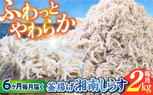 【全6回定期便】釜揚げ 湘南しらす 1kg×２P / しらす 湘南 ふわふわ 食感 冷凍 国産 シラス お取り寄せ 人気 大容量 佐島 横須賀 かながわブランド 神奈川県【平敏丸】 [AKEZ015]