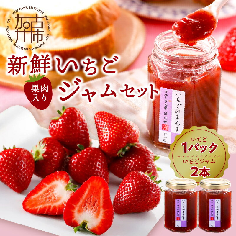 【ふるさと納税】【レビューキャンペーン】はたやの新鮮いちご＆果肉入りジャムのセット[12月下旬より順次発送]《 ふるさと納税いちご イチゴ 苺 フルーツ工房はたや 高級 フルーツ ジャム 送料無料 》