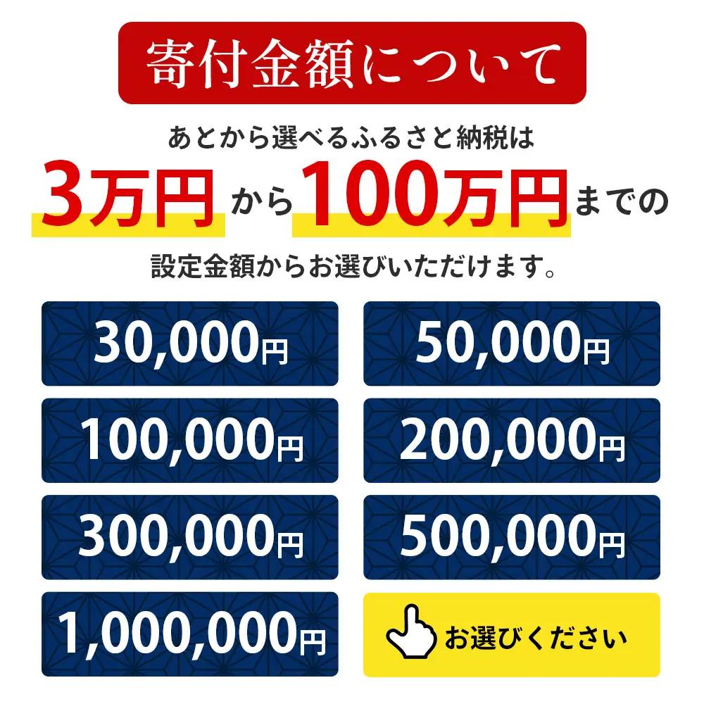 あとからセレクト【ふるさとギフト】3万円分 MN-18 │30000 鹿児島県 南大隅町 あとから選べる 返礼品 特産品 プラン 選べる返礼品 あとから選べる ギフト ギフトポイント 後から選ぶ カタ