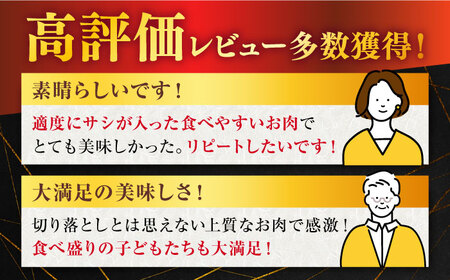 【3回定期便】 佐賀牛 切り落とし 1kg (500g×2P)【桑原畜産】[NAB053] 佐賀牛 牛肉 肉 佐賀 牛肉 黒毛和牛 佐賀牛 牛肉 A4 佐賀牛 牛肉 a4 ブランド牛 ブランド牛肉 佐