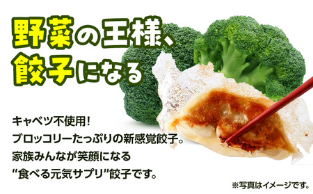 げんき モリモリ 生餃子 144個 K027-010_03 餃子 ギョーザ 肉 豚肉 国産 惣菜 総菜 野菜 中華 鍋 TV紹介 全国冷凍野菜アワード 金賞 受賞 加工品 ブロッコリー 冷凍 ビッグフ