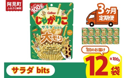 【3ヶ月定期便】カルビー じゃがりこサラダ bits 大モリ（100g）×12個｜Calbee お菓子 菓子 おやつ おかし ぽてち ポテチ スナック おつまみ ジャガイモ じゃがいも（93-53）