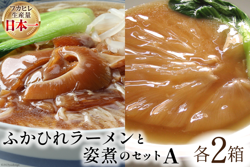 コラーゲン3900mg ふかひれラーメンと姿煮のセットＡ [中華高橋水産 宮城県 気仙沼市 20563465] 鱶鰭 ふかひれ フカヒレ 姿煮 ラーメン ふかひれラーメン コラーゲン 中華 高級 豪華 詰め合わせ