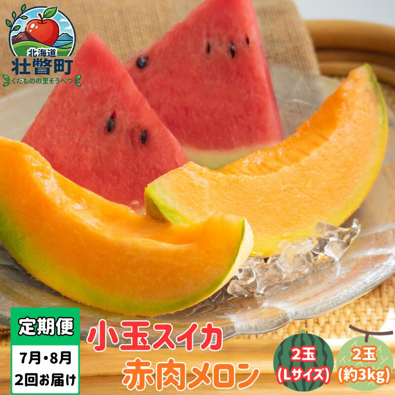 【ふるさと納税】【先行予約】【定期便2回】赤肉メロン2玉＋小玉スイカ2玉 旬のフルーツ定期便〈7月下旬・8月上旬お届け〉【メロン 赤肉 スイカ 西瓜 旬 人気 果物 くだもの 北海道壮瞥町】SBTN011