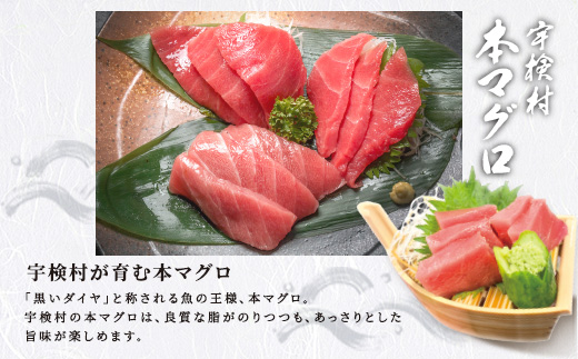 宇検村産 本マグロ 簡単 お刺身 セット 中トロ 大トロ 柵 400g 冷凍 養殖