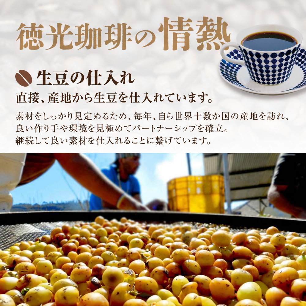 珈琲ゼリーセット[徳光珈琲オリジナルアイスコーヒー720ml×1本・徳光珈琲プレミアム コーヒーゼリー120g×6個]