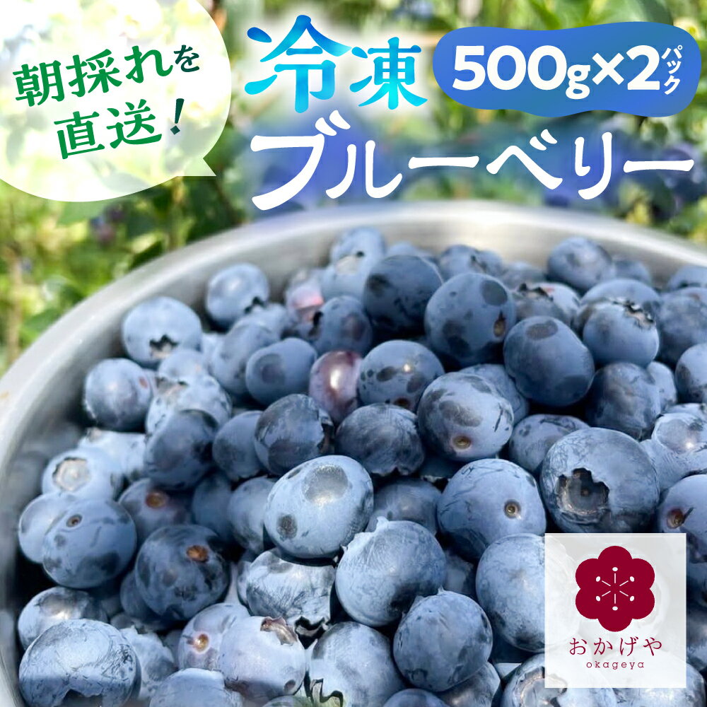 【ふるさと納税】≪7月発送発送開始≫ 冷凍ブルーベリー 計1kg (500g×2P) 1kg 1キロ ブルーベリー 冷凍 スムージー ヨーグルト フルーツ 果物 旬 国産 国産ブルーベリー 大粒 新鮮 完熟 農家直送 直送 甘い 高糖度 おいしい 人気 小分け 旬のフルーツ 岐阜県 郡上市 無農薬