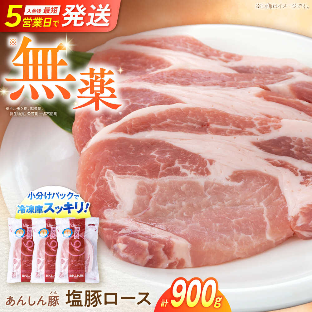 【ふるさと納税】《日本農業新聞一村逸品大賞にて金賞受賞》無薬育ちのあんしん豚 塩豚ロース 900g 豚肉 小分け 薄切り ロース 冷凍 白川町 / 藤井ファーム[AWAF053]