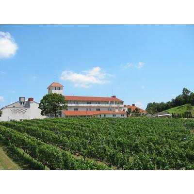 ふるさと納税 神戸市 神戸ワイン タータンラベル 赤　720ml |  | 02