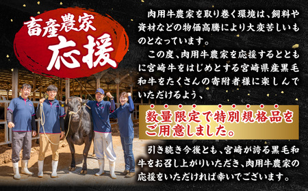 【市制100周年特別規格・期間限定】宮崎県産黒毛和牛ロースステーキ250g×2 合挽きハンバーグ100g×2個 合計700g ミヤチク ステーキ ハンバーグ