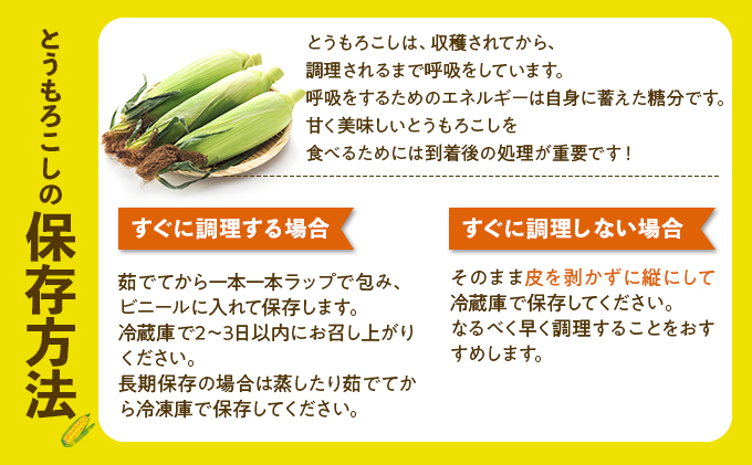 北海道 倶知安町 とうもろこし 味来 みらい 北海道 5kg 2Lサ