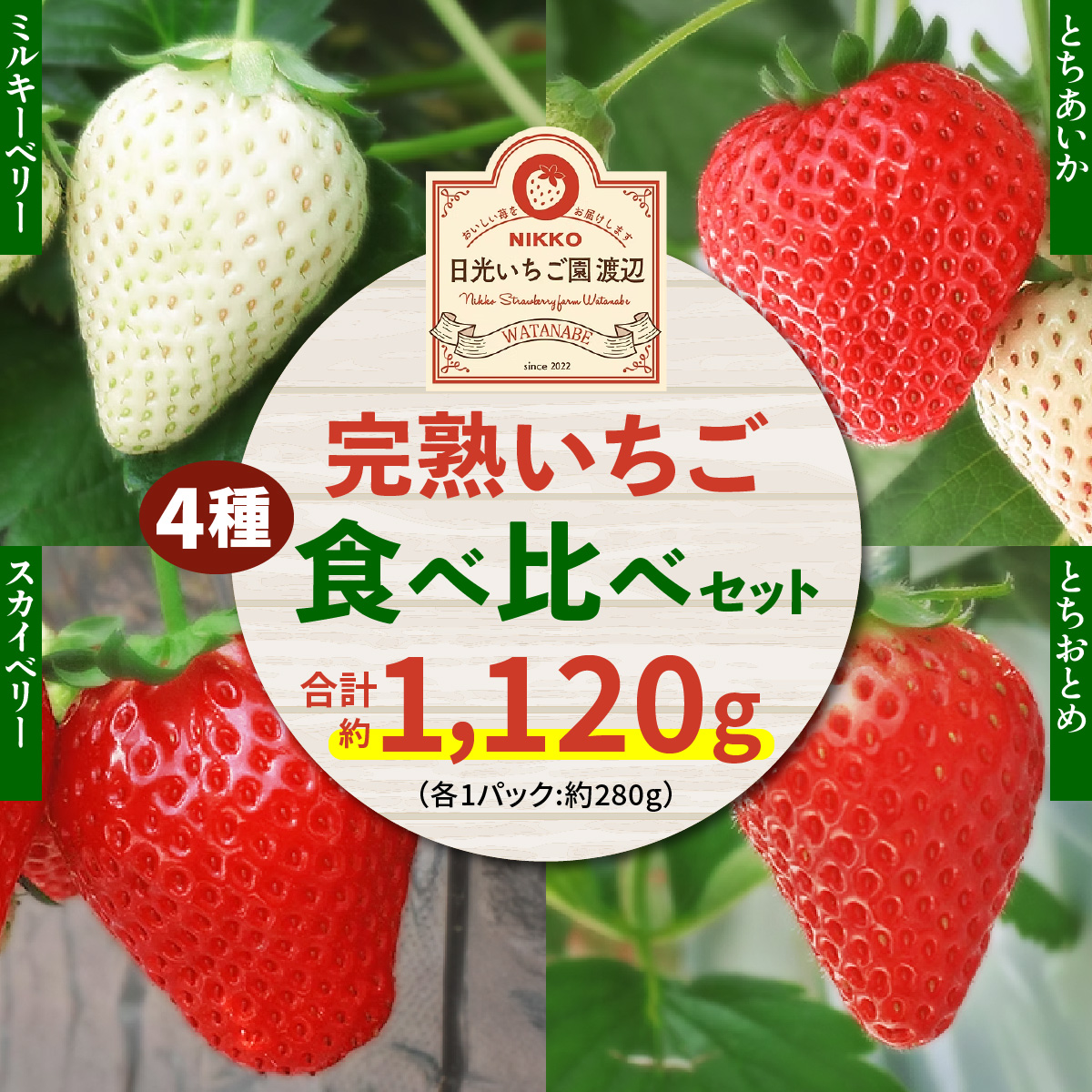 【先行予約】  日光の自然が育む4種類の「完熟いちご」 食べ比べ！ Aセット 【2026年12月より順次発送】｜先行予約 期間限定 イチゴ 苺 フルーツ とちおとめ とちあいか スカイベリー ミルキーベリー 果物 産地直送 日光産 栃木県産 [0955]