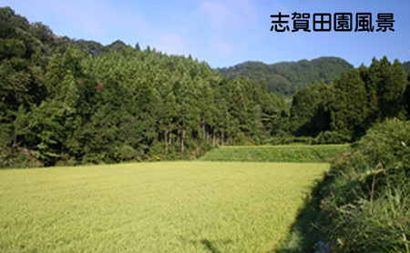 【令和7年度産新米】宮城県岩沼市産　志賀沢米　ササシグレ　精米5kg お米 宮城県産 