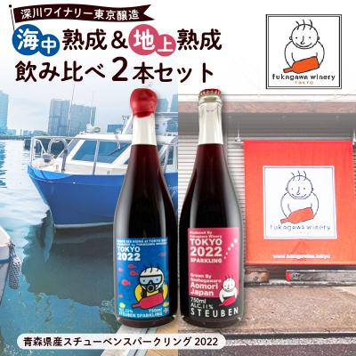 ふるさと納税 江東区 深川ワイナリー東京醸造・【海中熟成&amp;地上熟成飲み比べ2本セット】【kt009-001】
