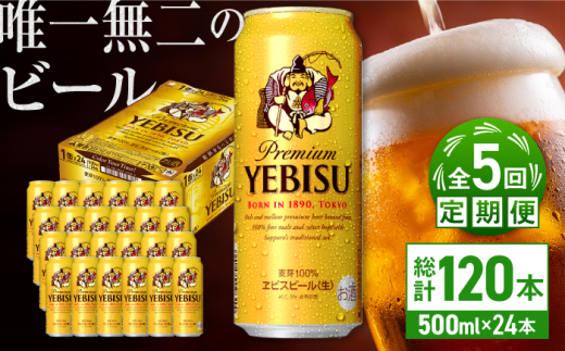 【全5回定期便】サッポロ ヱビスビール 500ml×24缶　合計120缶 日田市 / 株式会社綾部商店　ビール サッポロ お酒 酒 日田[ARDC059]