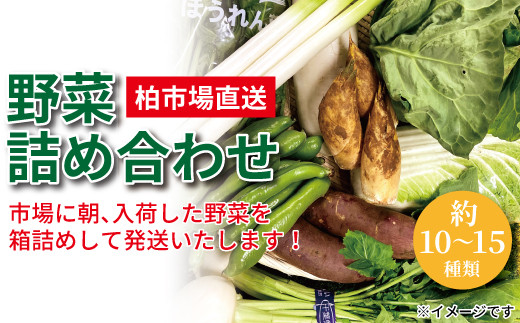 
柏市場直送野菜詰め合わせセット
