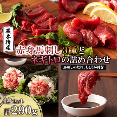 ふるさと納税 産山村 「熊本特産」赤身馬刺し3種とネギトロの詰め合わせ(産山村)