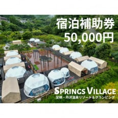 SPRINGS VILLAGE 足柄丹沢温泉リゾート&グランピング 宿泊補助券 50,000円