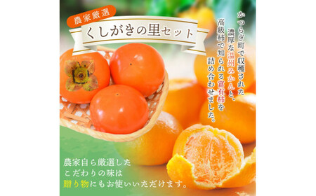 【先行予約】 道の駅くしがきの里セット 富有柿3個・温州みかん約30個の詰め合わせ こだわり農家厳選  【2026年11月上旬頃から12月中旬頃順次発送】/ みかん 温州みかん 柿 富有柿 かき 詰め