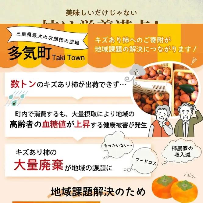 柿【2026年度発送分】きんちゃん農園のたねなし柿(家庭用・訳あり)約10kg【KCN-03】