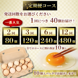 【2024年8月中旬以降発送】【定期便12ヵ月】京都 丹波 こだわりピンク卵 撫子たまご40個 (30個＋割れ保証10個) FCDZ007/ 三和鶏園 MS～LLサイズ  卵 たまご タマゴ 濃い ピ