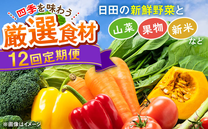 【全12回定期便】農家セレクト！特別栽培 日田の厳選食材 詰め合わせ 日田市 / 自然工房Mori 野菜 果物 米 産地直送 新鮮 セット [ARBR002]