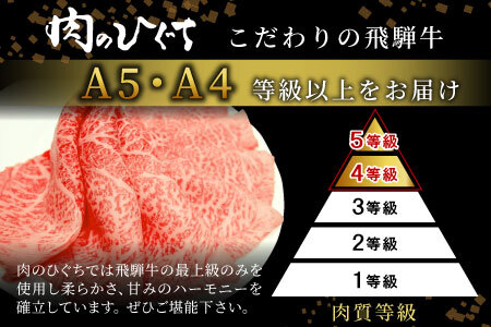 数量限定 飛騨牛 角切り(スネ・ネック) 350g A5 A4 国産 牛 冷凍 和牛 牛肉 すね スネ ネック 煮込み用