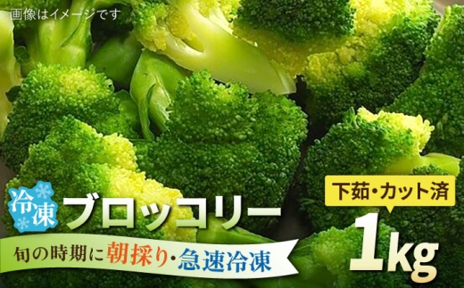 ブロッコリー 1kg 冷凍 旬の時期に急速冷凍 【福岡県糸島産】 糸島市 / オーガニックナガミツファーム 野菜 [AGE053]