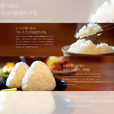 ふるさと納税 与謝野町 【先行受付】令和8年新米　数量限定　京都与謝野町産コシヒカリ「京の豆っこ米」玄米10kg×2袋 |  | 01