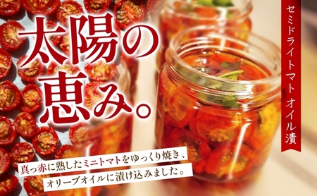 北海道 野菜 瓶詰め 2種 セット〈大〉バジル ペースト 100g セミドライ トマト オイル漬け 95g 各1個 計2個  2026年8月上旬から発送 ハーブ オリーブオイル 乾燥野菜 国産 パスタ
