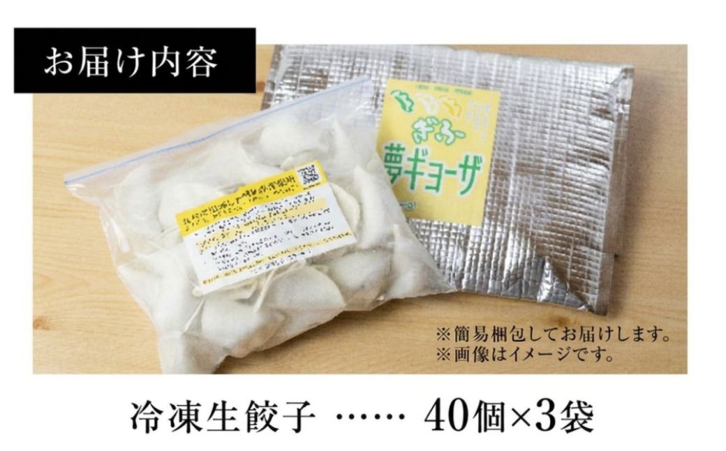 ぎふ夢餃子ミックス 120個 人気餃子3種を詰め合わせ！ 冷凍餃子 食べ比べ メガ盛り 業務用 ぎょうざ ギョウザ 冷凍 グルメ お取り寄せ グルメ 冷凍食品 国産素材 飛騨牛 おりべ 織部 肉 ジューシー もちもち [mt2215] 22000円