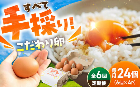【6回定期便】あっぱれ卵 24個 /いとう養鶏場 [UAQ010] 卵 たまご 鶏卵