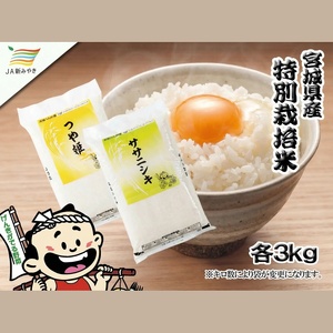 元気くん市場  宮城の美味しいお米食べ比べセット（Ｂ）【mygs008】