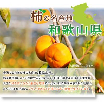 ふるさと納税 日高川町 【2026年発送】【ご家庭用わけあり】和歌山秋の味覚　富有柿　約7.5kg |  | 01