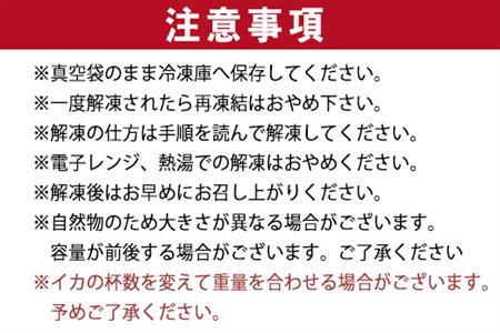 唐津呼子産いか活造り 2杯(約150g～180g×2) 急速冷凍 新鮮そのまま食卓へ！イカ 刺身 簡単 ギフト