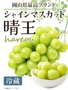 ぶどう [2024年先行予約] シャインマスカット 晴王 1房 約500g《9月中旬-11月中旬頃より出荷予定(土日祝除く)》ハレノスイーツ 岡山中央卸売市場店 マスカット 送料無料 岡山県 浅口市 