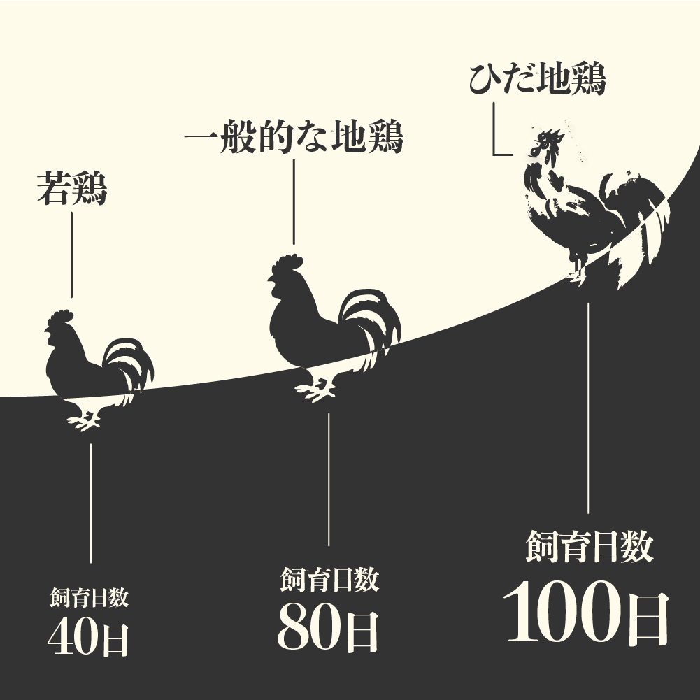 福袋 飛騨地鶏三昧 地鶏 モモ肉 手羽先 手羽元 ささみ 串焼き 鶏ちゃん 合計2kg超 鶏肉 飛騨[B0256re]