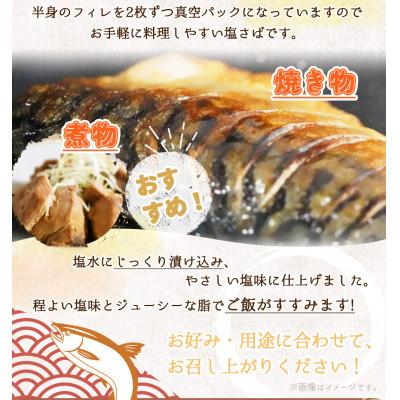 ふるさと納税 北山村 【毎月定期便】魚鶴お楽しみ海鮮4種セット(銀鮭・うなぎ・銀だら・塩さば)【tkb419】全4回 |  | 03