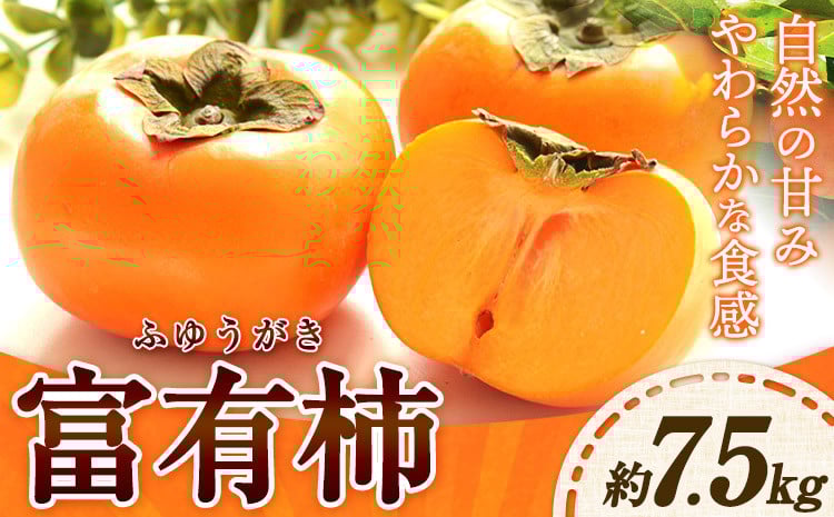 
            【先行予約】富有柿 約7.5kg 岸武青果株式会社《2026年10月上旬-11月下旬頃出荷》 和歌山県 紀の川市 柿 カキ かき 果物 フルーツ 送料無料
          